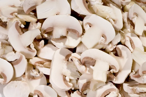 stock image Champignons