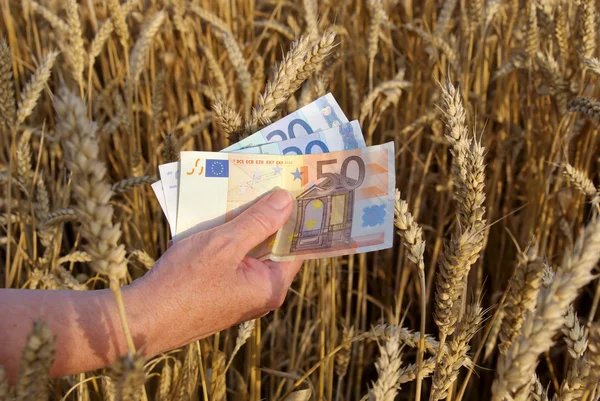Pšenice a peníze — Stock fotografie