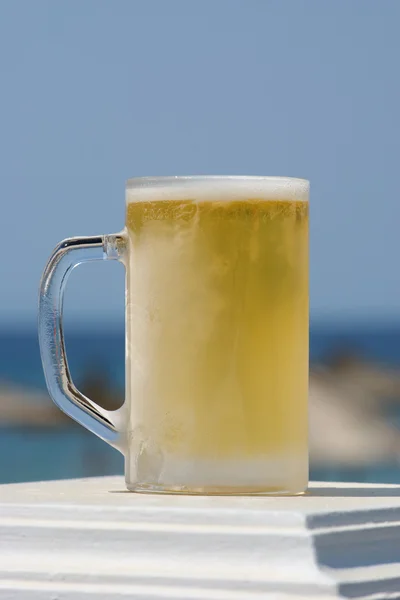 Пиво у ограды — стоковое фото