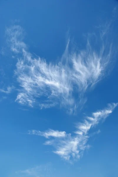 stock image Clouds