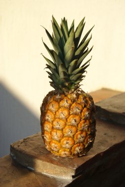 Ananas.