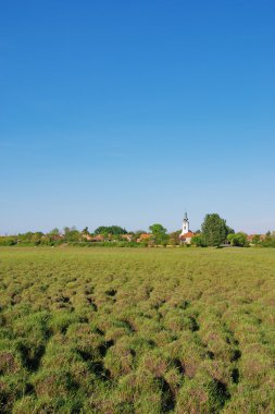 Köstebek arazi