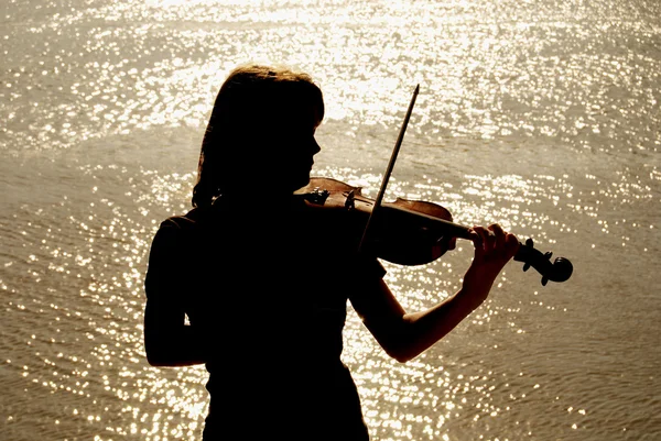 Violinista — Foto Stock