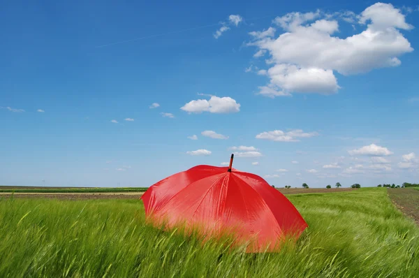 Paraguas en el campo — Foto de Stock