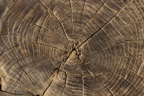 stock image Wood structure