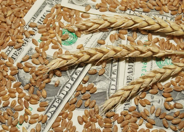Carriles de banobuğday ve para kavramı — Stockfoto