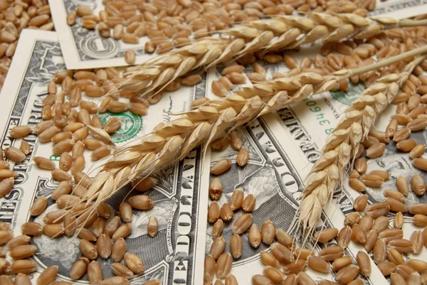 小麦和钱的概念 — 图库照片