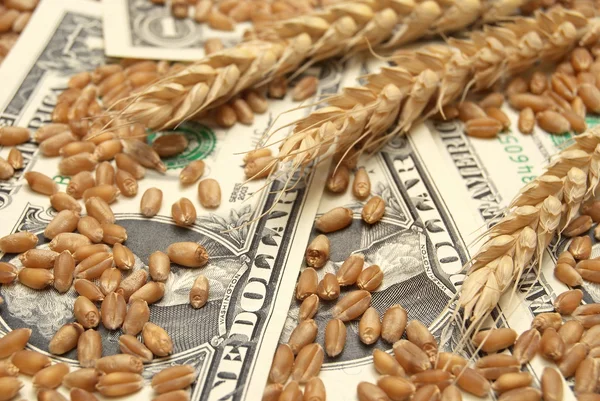 Concept blé et argent — Photo