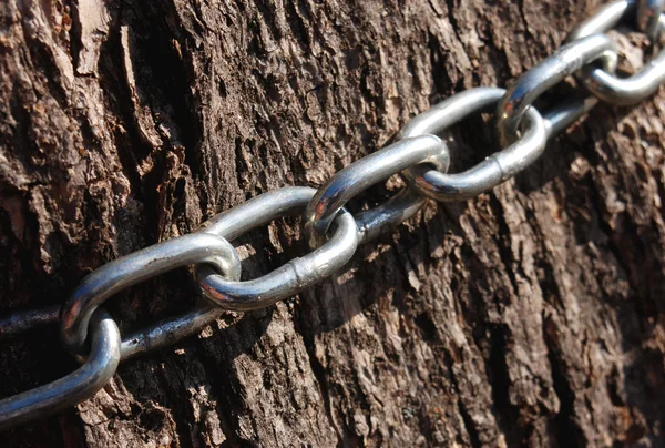 Çelik zincirler — Stok fotoğraf