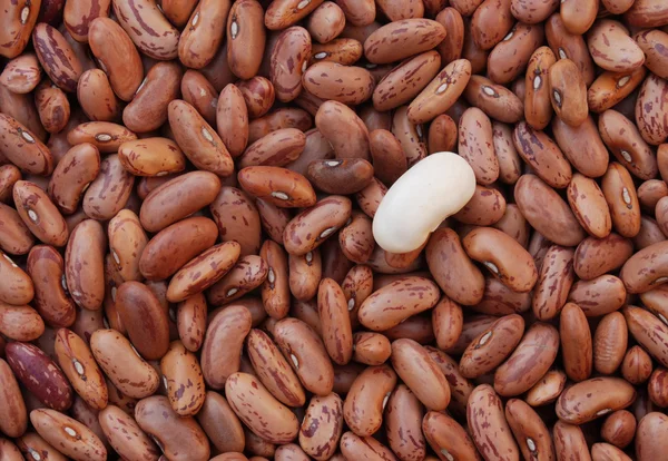 Heap of bean — Stock Photo, Image