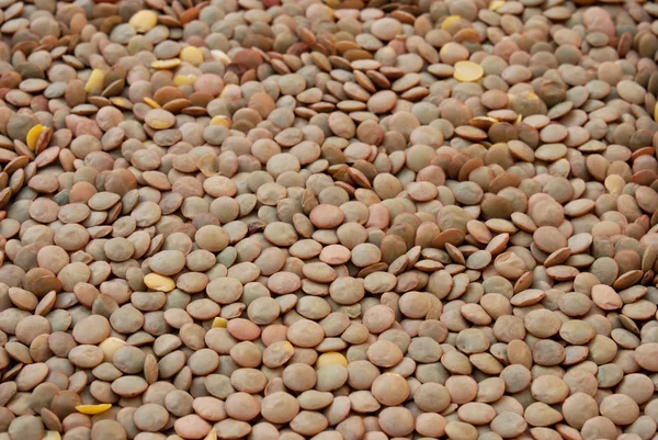 Legumes de lentilha — Fotografia de Stock