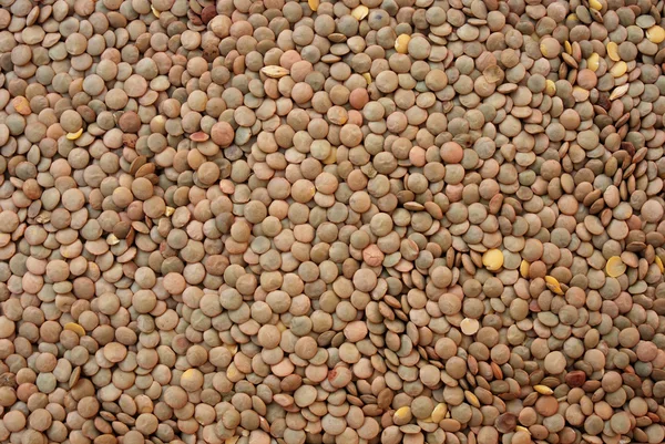 Legumes de lentilha — Fotografia de Stock