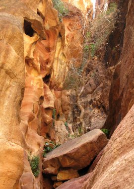 Petra, jordan