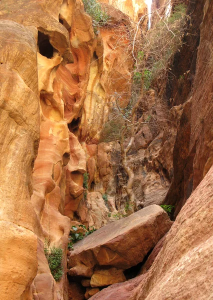 stock image Petra, Jordan