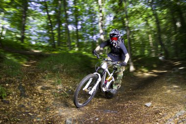 Downhill mountain bikers clipart