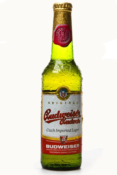 Budweiser birası — Stok fotoğraf