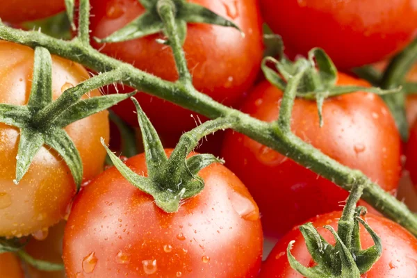 stock image Cherry tomato assorted