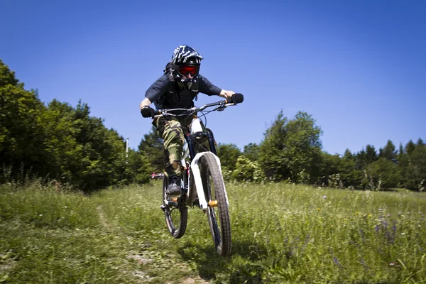 stock image Downhill mountain bikers