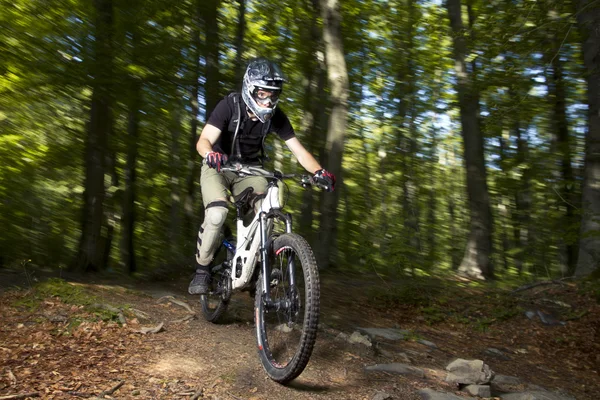 stock image Downhill biker