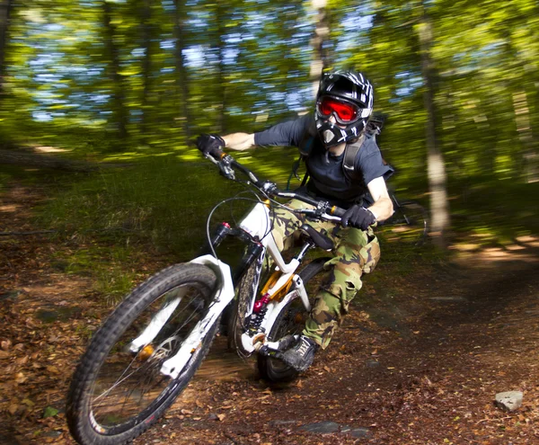 stock image Downhill biker