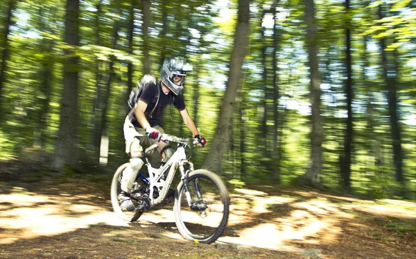 stock image Downhill biker