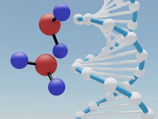 DNA ve h2o