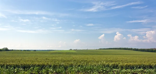 Bauernhof und umliegende Felder — Stockfoto