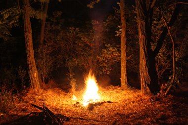 Bonfire in the woods clipart