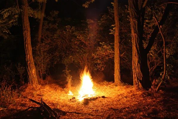 Lagerfeuer im Wald lizenzfreie Stockbilder