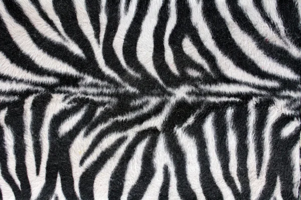 Zebra konsistens Royaltyfria Stockbilder