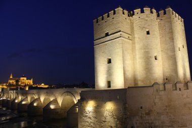 Tower of La Calahorra in Cordoba clipart