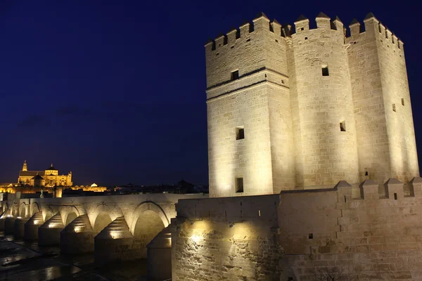 Torre de La Calahorra en Córdoba — Foto de Stock