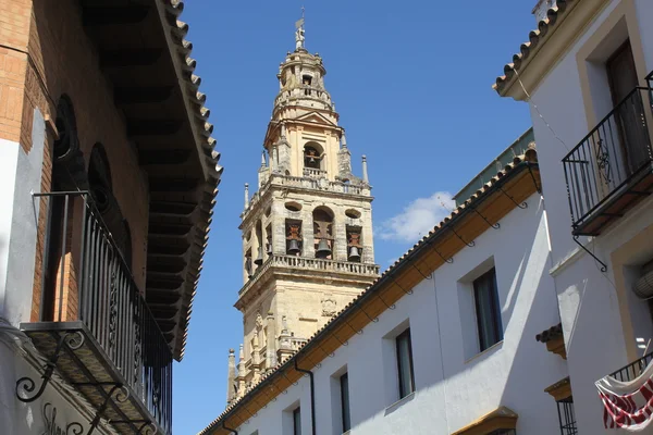 Cordoba 'daki caminin çan kulesi. — Stok fotoğraf