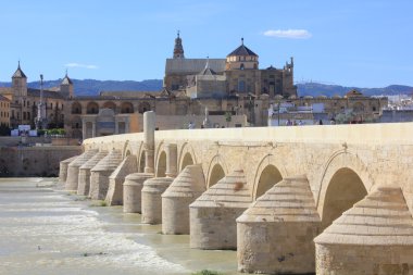 Roman Bridge and Mosque of Cordoba clipart