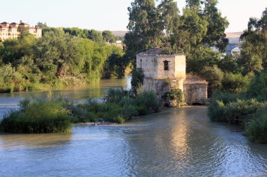 Abandoned house on the river clipart