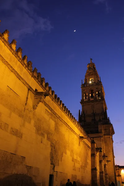 Muro e torre da Mesquita em Córdoba — Fotografia de Stock