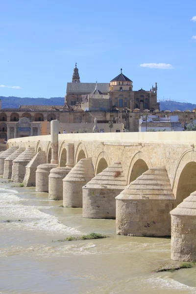 Puente Romano y Mezquita de Córdoba — Foto de Stock