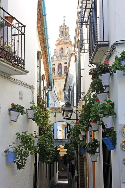 Ruela de flores em Córdoba — Fotografia de Stock