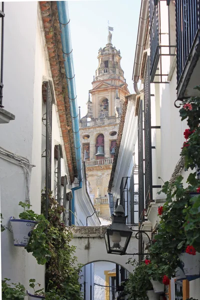 stock image Flower Alley in Cordoba