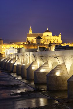 Roman Bridge and Mosque of Cordoba clipart