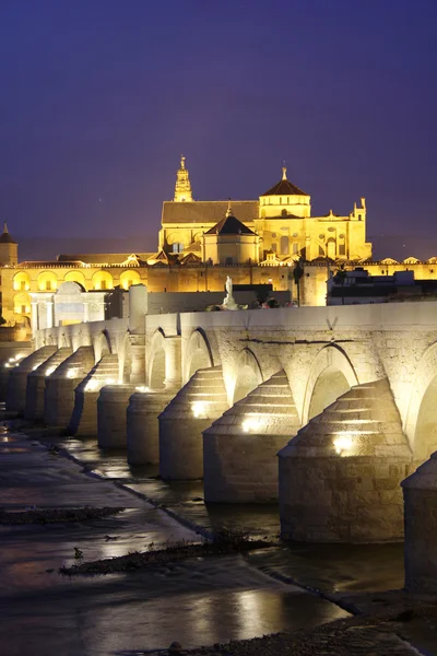 Puente Romano y Mezquita de Córdoba — Foto de Stock
