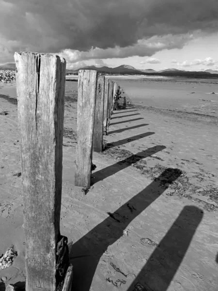 stock image Pwllheli Beach