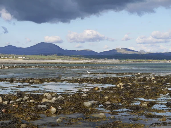 Stock image Shoreline and Hills