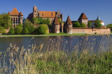 The castle Malbork clipart