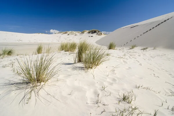 stock image The landscape on desert Leba