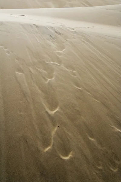 Пейзаж на пустыне Леба — стоковое фото
