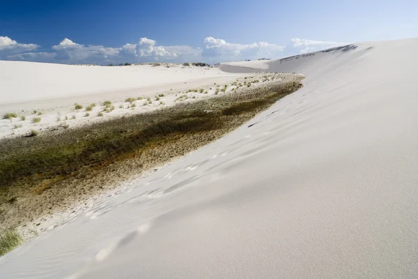 O deserto Leba — Fotografia de Stock
