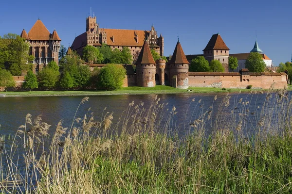 stock image The castle Malbork