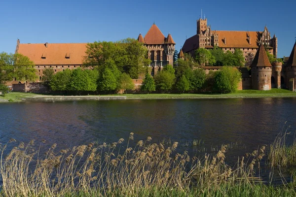 Замок Мальборк — стокове фото