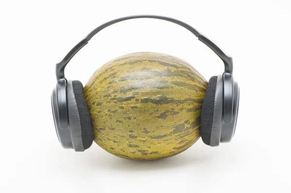Melon z słuchawki — Zdjęcie stockowe